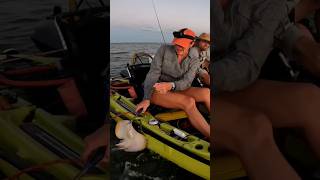 Catching and releasing a stingray while staying calm and collected stingray kayakfishing corpus [upl. by Gaughan258]