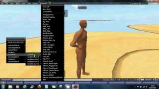 TUTO N°33 Cours Blender pour recuperer sa shape SL dans Blender [upl. by Littell519]