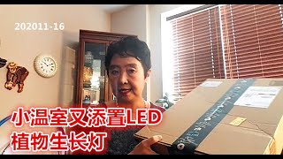 小温室又添置LED植物生长灯 [upl. by Nike]