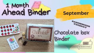 Cash Stuffing My 1 Month Ahead Binder  Randomizer  Chocolate Binder [upl. by Rocco200]