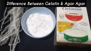 Difference between Gelatin and AgarAgar  Gelatin Powder Kya hai  Homemade Halal Gelatin [upl. by Gael791]