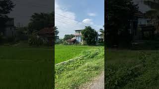 5 Katha  sasto Jagga  Cheap land for sale  Morang 40 ft Road  9852024534 by Real Estate Nepal [upl. by Schweitzer]