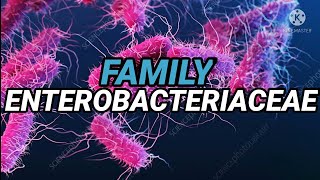 FAMILY ENTEROBACTERIACEAE  in UrduHindi [upl. by Marl]