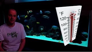 African Cichlids  How Water Temperature Affects Their Behaviour [upl. by Ellemrac143]