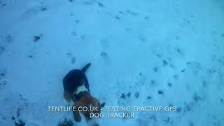 Walking and training with the Tractive GPS dog tracker [upl. by Zoller]