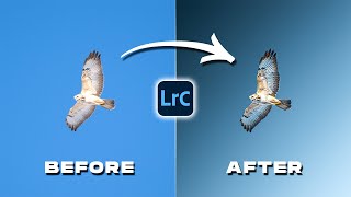 Transform Your Photos in Lightroom Like a PRO [upl. by Olihs]