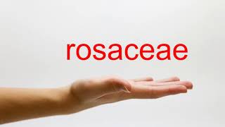 How to Pronounce rosaceae  American English [upl. by Rizan]