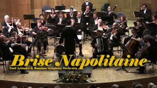 Brise Napolitaine  Emil Aybinder French Accordion with a Symphony Orchestra [upl. by Eluj]