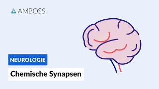 Funktionsweise chemischer Synapsen  Biochemie  AMBOSS Video [upl. by Nary]