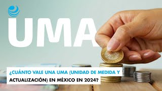 ¿Cuánto vale una UMA Unidad de Medida y Actualización en México en 2024 [upl. by Enos606]