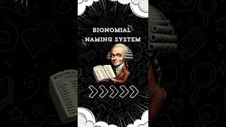 Binomial Naming System  IGCSE  GCSE oneminutelearning 12 biology [upl. by Nonnah867]