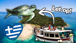 Opzoek naar Zeeschildpadden op Vakantie  Leuke Excursie of Dierenleed [upl. by Nilpik]