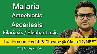 L4 Protozoan and Helminth Diseases  Malaria  Amoebiasis  Ascariasis  Filariasis  Class 12NEET [upl. by Nedla540]