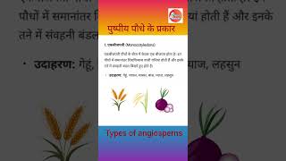 पुष्पीय पौधे के प्रकार 🌾  Types of angiosperm  scienceclass angiosperms floweringplant [upl. by Corneille187]