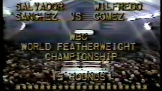 Wilfredo Gomez vs Salvador Sanchez 1981 [upl. by Weinstock]