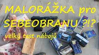 Sebeobrana s malorážkou Velký test malorážkových nábojů 22 LR Sebeobrana  Brannost Hodonín 2024 [upl. by Clarkin477]