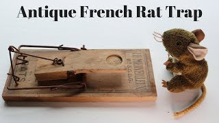 Antique French Rat Trap Mousetrap Monday [upl. by Nordek]