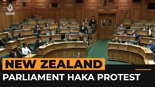 Maori politicians disrupt New Zealand parliament vote with haka  AJshorts [upl. by Jorge827]