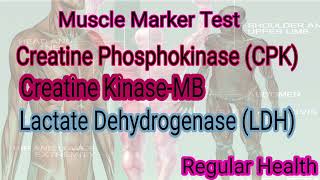 Muscle Marker Test muscular Marker Test CPK CK MB LDH Test [upl. by Vernor]