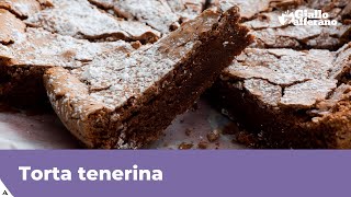 TORTA TENERINA AL CIOCCOLATO [upl. by Sabelle176]