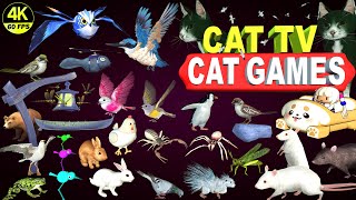 CAT GAMES ULTIMATE CAT TV COMPILATION  BEST CAT GAMES ON SCREEN  CAT amp DOG TV 4K 8 HOURS [upl. by Ahiel]