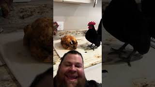 chicken friend supper comedy 🐦 [upl. by Lillith]