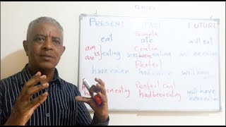 Habteab Academy TENSES summary ብፍሉይ ኣቀራርባ [upl. by Htebarual]