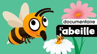 Labeille le miel et la ruche 🐝 Documentaire pour bébé et enfant de crèche et maternelle [upl. by Shanley]