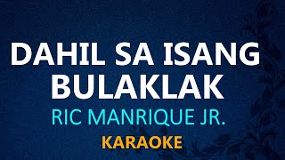 DAHIL SA ISANG BULAKLAK  Ric Manrique Jr KARAOKE VERSION [upl. by Budde]