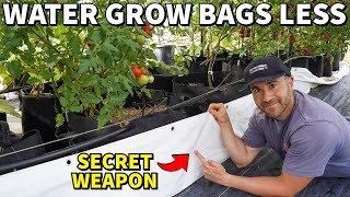 An EASY Way To Stop GROW BAGS From Drying Out In Summer [upl. by Trebbor]