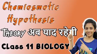 Chemiosmotic hypothesis class 11 biology  chapter 13  photosynthesis  NCERT  One biology [upl. by Annahs271]