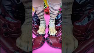 ABK Shoes20shorts ytshorts new video like meme my channel yt share subscribe follow me [upl. by Esirtal]