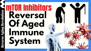 mTOR Inhibitors Human Trials  Reversal Of Aged Immune System [upl. by Ylhsa398]