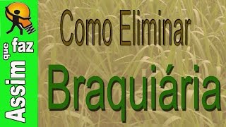 Como Eliminar a Braquiária do Jardim ou Gramado [upl. by Einttirb279]