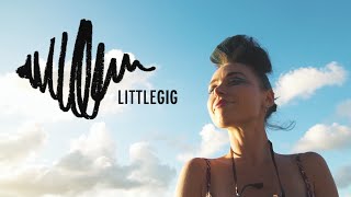 Littlegig 24h Festival 2016 [upl. by Hylan500]