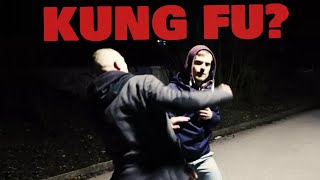 APPLICATIONS OF CHOY LEE FUT KUNG FU [upl. by Linden180]