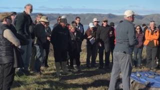 800 year old hangi pit  Part 1 [upl. by Walke228]