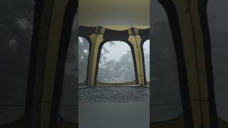 Solo Camping in Heavy rain with My Dog Thunder amp Lightening Cozy Relaxing in the Tent viralvideo [upl. by Chad]