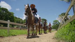 Horseback Riding at Carabalí [upl. by Nosloc]