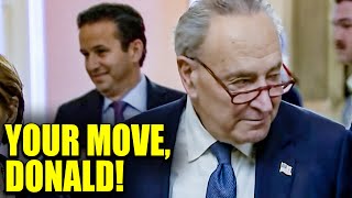 Chuck Schumer PULLS A FAST ONE On Republicans They Cant Keep Up [upl. by Eintrok11]