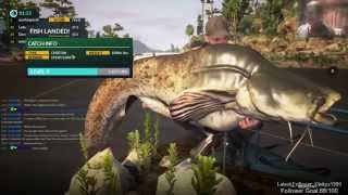 Dovetail Games Euro Fishing  Catching the 100lb Cheetah Boss Fish [upl. by Alinoel]