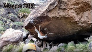 MOGAN  Gran Canaria  Bouldering on vulcanic rock by Maxi Michi amp Stephan [upl. by Ebag]