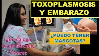 TOXOPLASMOSIS MASCOTAS Y EMBARAZO POR GINECOLOGA DIANA ALVAREZ [upl. by Bonns]