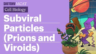 Subviral Particles Prions amp Viroids Explained Full Lesson Sketchy MCAT [upl. by Galligan]