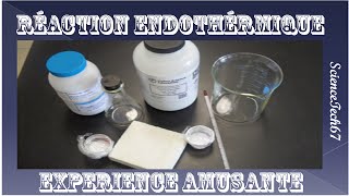 Tutoriel  Réaction endothermique expérience amusante [upl. by Yarak]