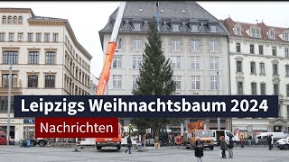 Weihnachtsbaum 2024 Leipziger Markt erstrahlt bald in festlichem Glanz 🎄✨  LZ TV Nachrichten [upl. by Reseta]