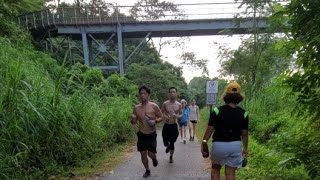 HIKING at bukit timah nature reserve [upl. by Idisahc]