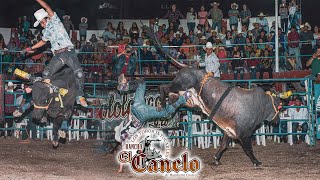 DE DONDE SACO ESTOS TOROS DECIA TRINY NAVA ATENANGO DEL RIO GUERRERO 2023 [upl. by Ursal529]