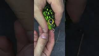 Big lure setup fishingvideo fishing fishingtips [upl. by Aninay]