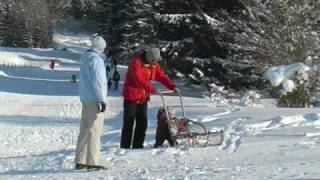 Camping Bannwaldsee in Schwangau Wintercamping [upl. by Jayson]